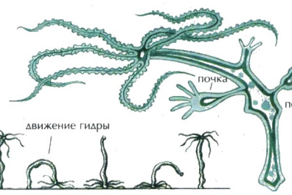 Кракен ссылки krakenwebs org