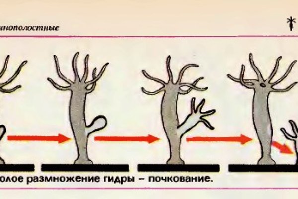 Кракен нарка шоп