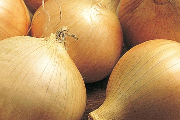 Kraken onion вход