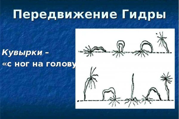 Клир ссылка на кракен 2025