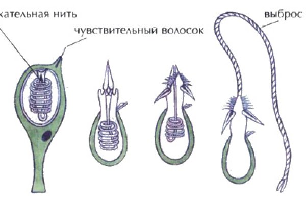 Kraken официальные зеркала